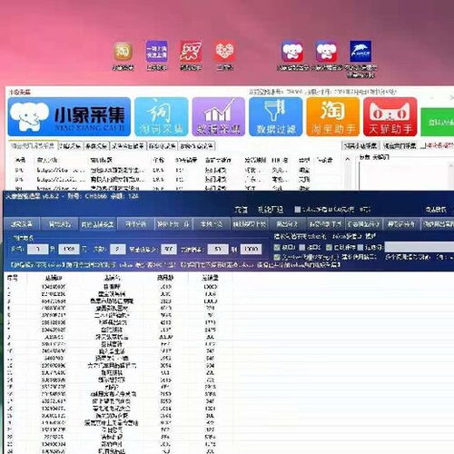 拼多多店群软件与广东商品分析工具 小象采集及软件开发前景