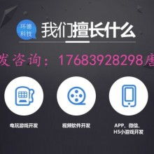广东软件开发 创新驱动下的软件厂家生态与未来展望