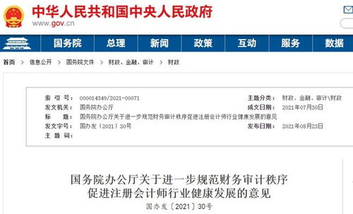 国内会计师事务所应如何选择审计软件——基于广东地区实践的几点思考